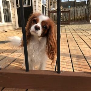 Meet your Posher, Catherine